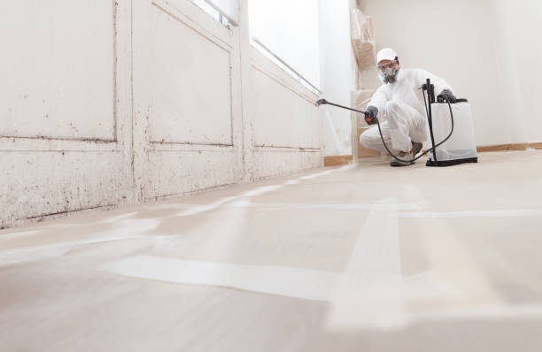 24/7 Emergency Mold Remediation experts in Hansville, WA