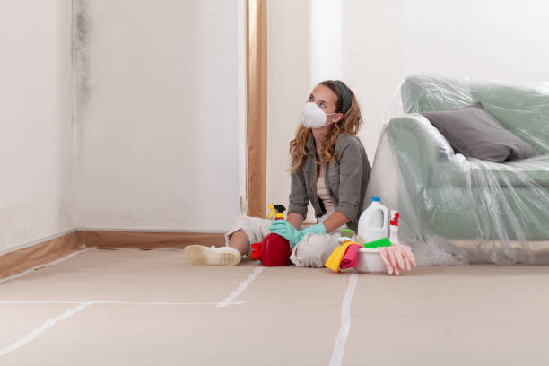 Reliable Mold Remediation contractor in Hansville, WA by 24 Hour Mold Removal